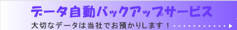 �f�[�^�����o�b�N�A�b�v�T�[�r�X�yStorage Ace�z�V�X�e���G�[�X