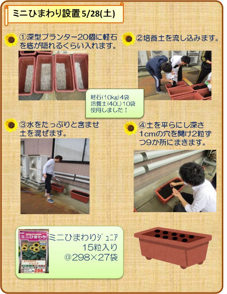 ミニひまわり設置