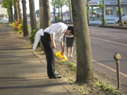 草取り