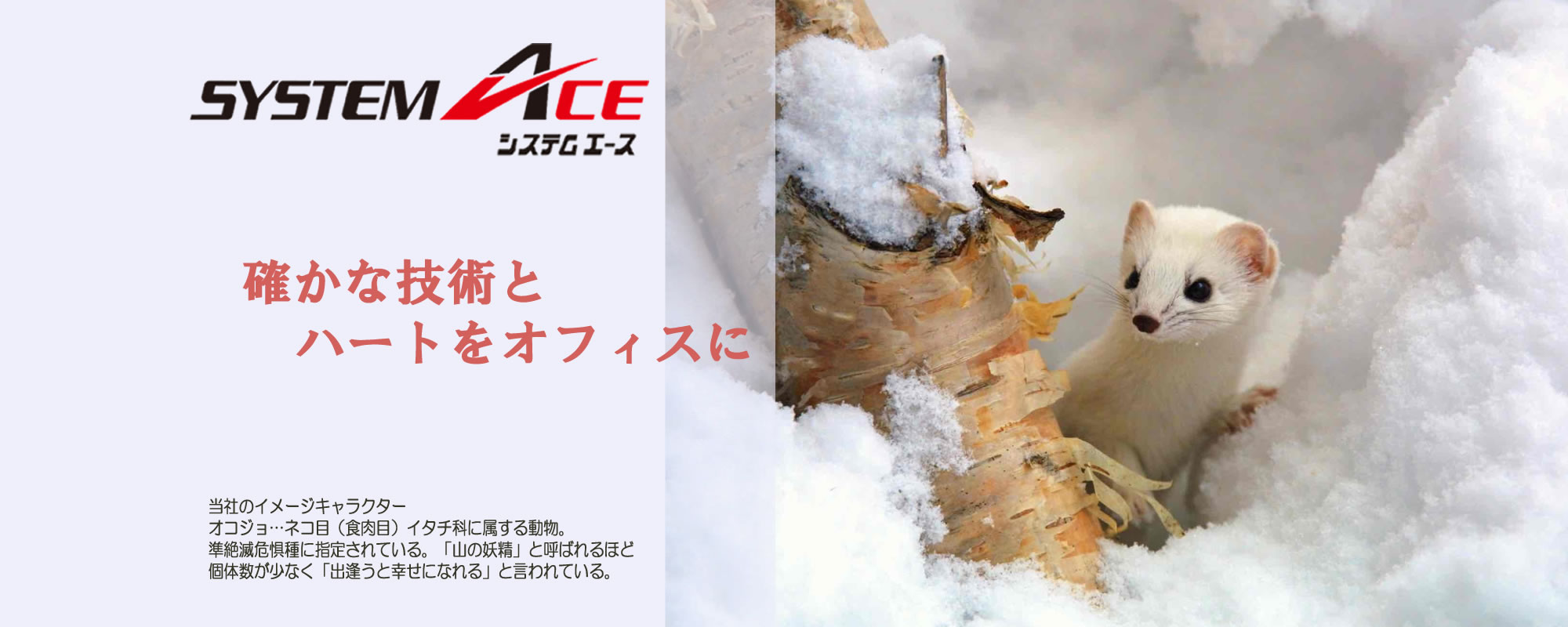 システムエース システムエース
